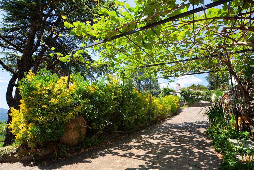 Oasi Verde Castiglione Chiavarese エクステリア 写真
