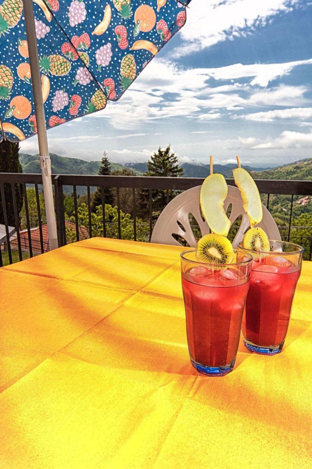 Oasi Verde Castiglione Chiavarese エクステリア 写真