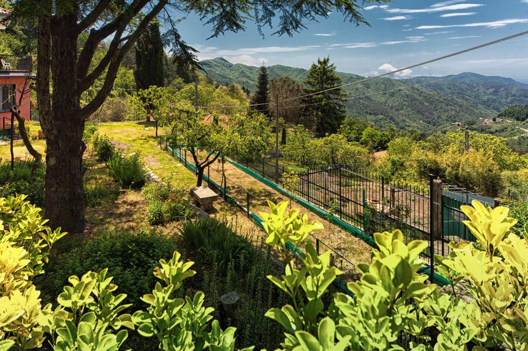 Oasi Verde Castiglione Chiavarese エクステリア 写真