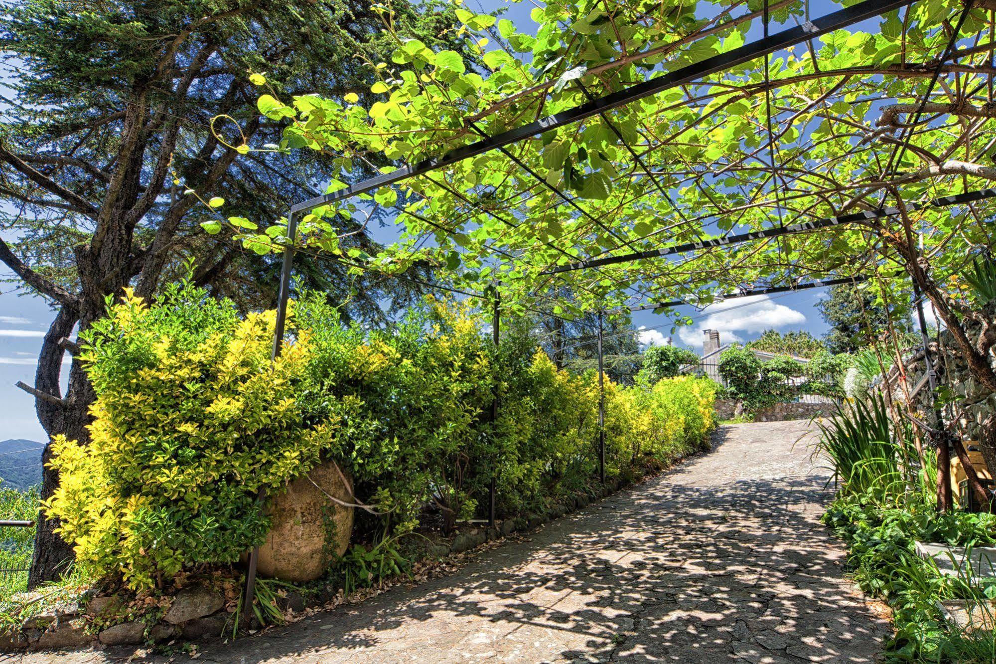 Oasi Verde Castiglione Chiavarese エクステリア 写真